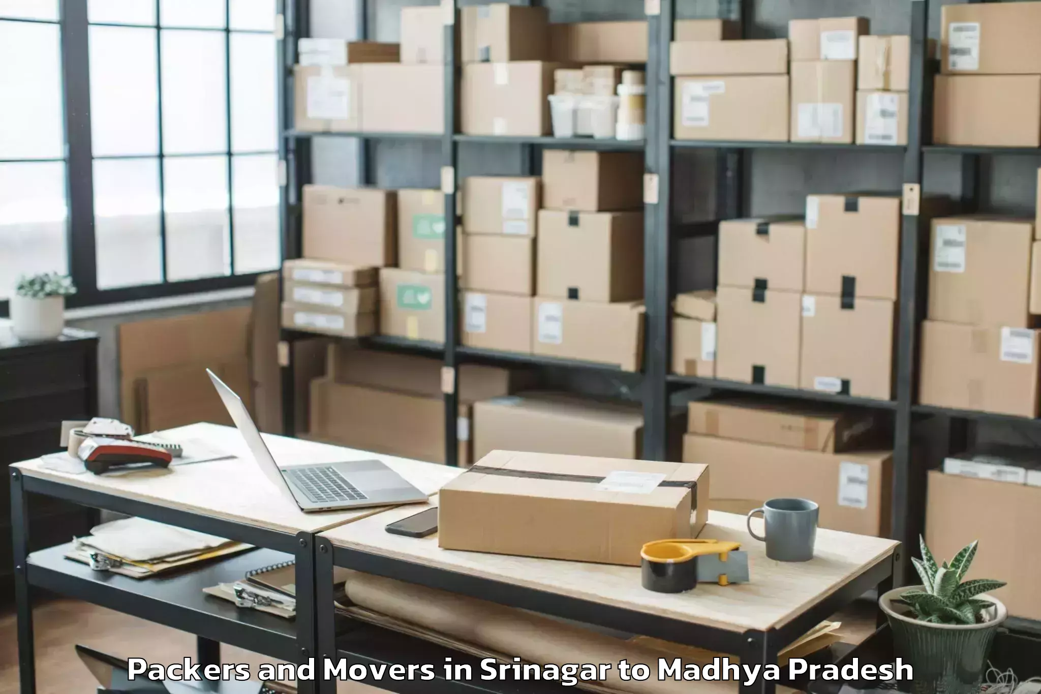 Efficient Srinagar to Bhopal Packers And Movers